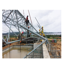 Philippine Natatorium Steel Space Crame de piscine Structure de toit